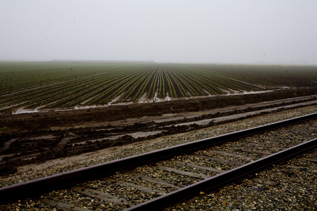 field